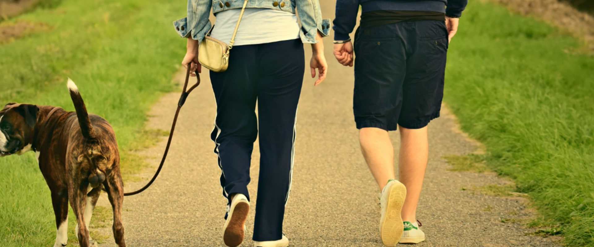 Incorporating Movement into Daily Routine: Tips for a Healthier Life
