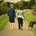 Incorporating Movement into Daily Routine: Tips for a Healthier Life
